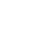 flash (1)